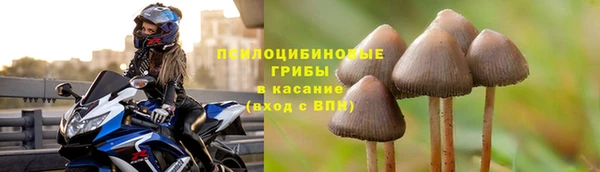 МДПВ Балахна